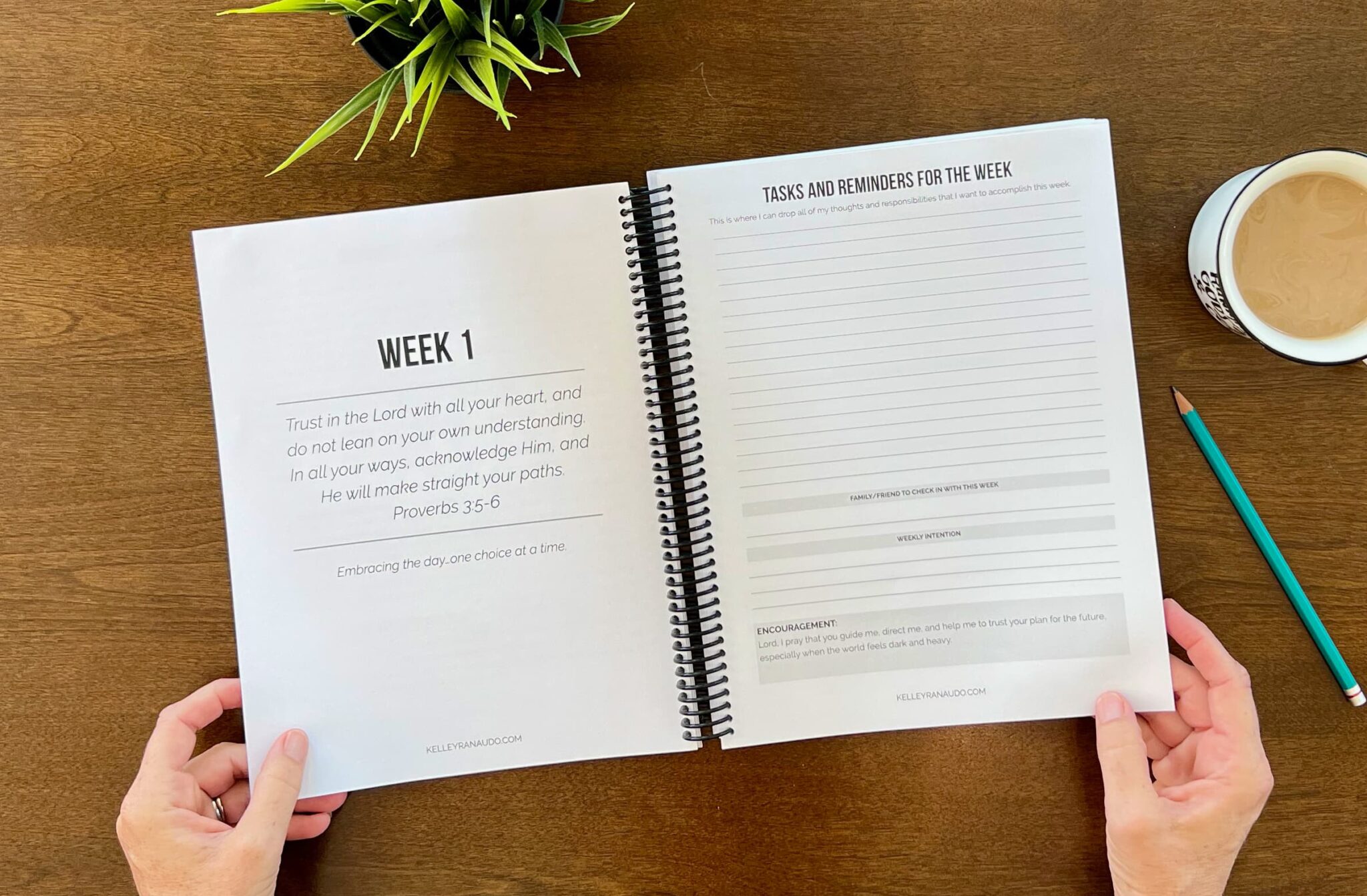 NO OCCASION OF STUMBLING...